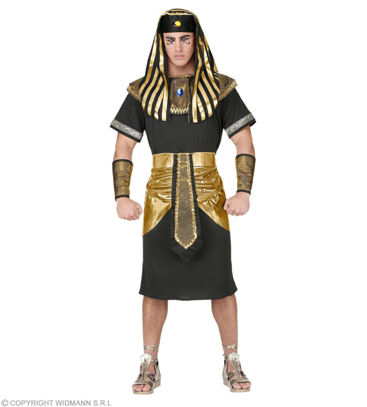 Farao Kostuum Luxe