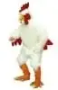 Promotie Kostuum Kip